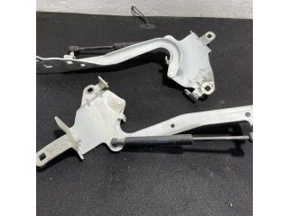 bontott RENAULT SCÉNIC III Motorháztető Zsanér Pár