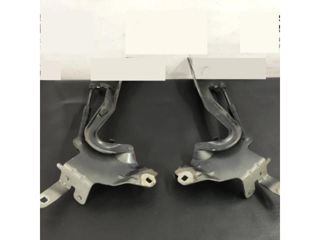 bontott RENAULT SCÉNIC III Motorháztető Zsanér Pár