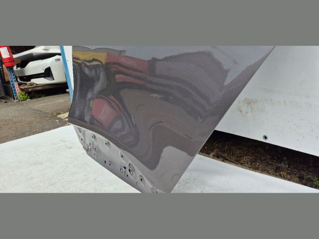 bontott RENAULT SCÉNIC IV Bal hátsó Ajtó (Üres lemez)