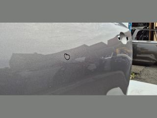 bontott RENAULT SCÉNIC IV Bal hátsó Ajtó (Üres lemez)