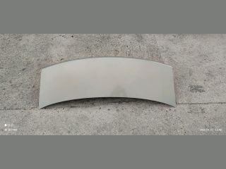 bontott RENAULT THALIA Csomagtérajtó (Üres lemez)