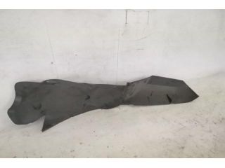 bontott RENAULT THALIA II Jobb hátsó Hátsó Dobbetét (Kerékjárati, Műanyag)