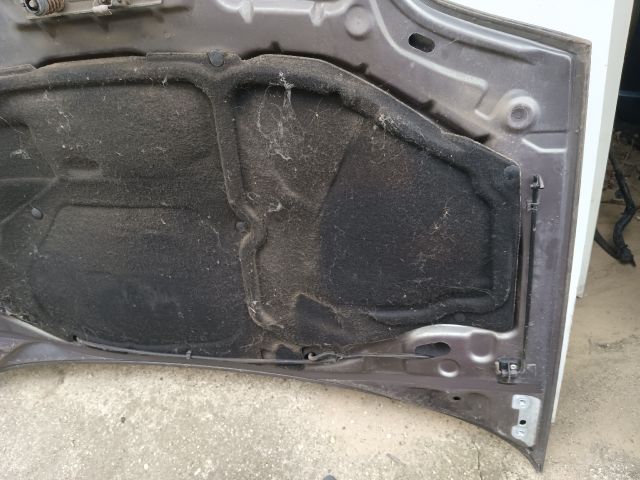 bontott RENAULT THALIA Motorháztető