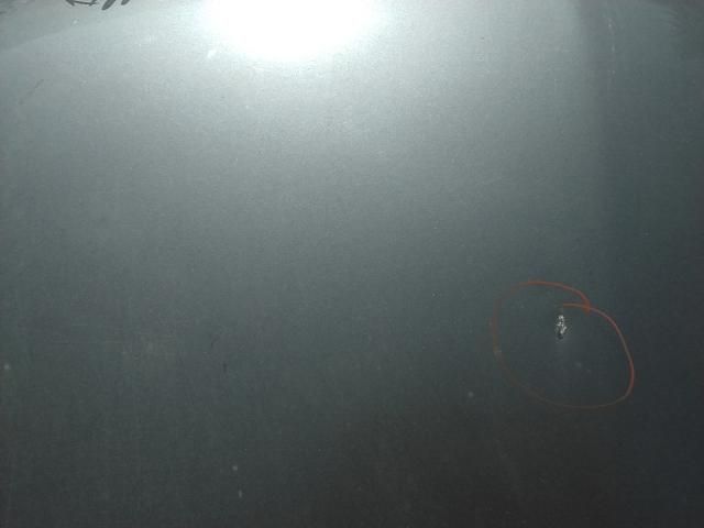 bontott RENAULT THALIA Motorháztető