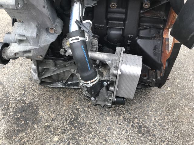 bontott RENAULT TRAFIC Motor (Fűzött blokk hengerfejjel)