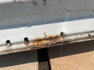 bontott RENAULT TRAFIC Jobb első Ajtó (Üres lemez)