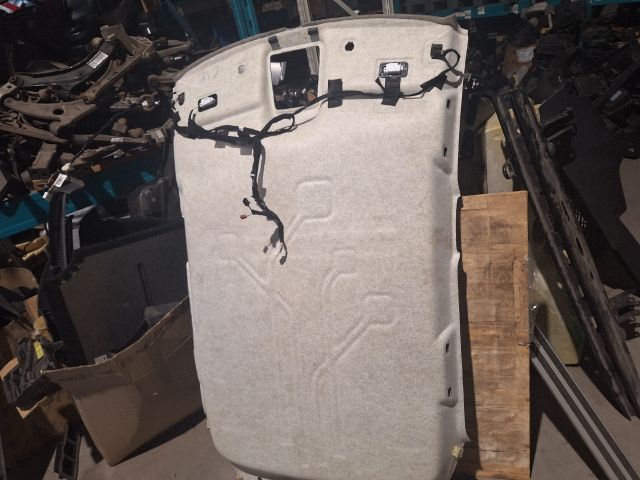 bontott RENAULT ZOE Tetőkárpit