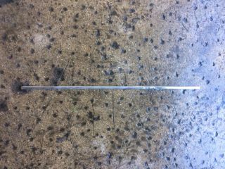 bontott ROVER 75 Bal első Ajtó Díszléc