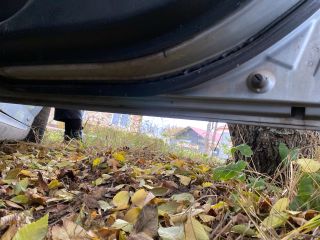 bontott ROVER 75 Jobb hátsó Ajtó (Üres lemez)