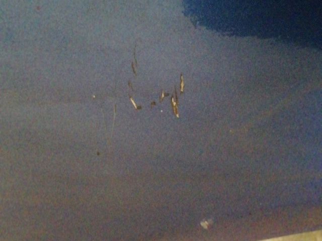 bontott SAAB 9-3 Jobb első Sárvédő