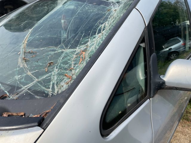 bontott SEAT ALHAMBRA Bal első Sárvédő