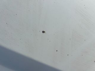 bontott SEAT ALHAMBRA Motorháztető