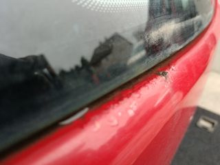 bontott SEAT ALTEA Csomagtérajtó (Részeivel)