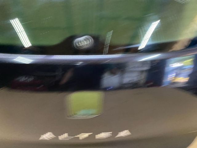 bontott SEAT ALTEA Csomagtérajtó (Üres lemez)