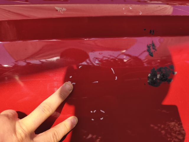 bontott SEAT ARONA Jobb első Ajtó (Üres lemez)