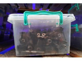 bontott SEAT CORDOBA I Porlasztó (1 db)