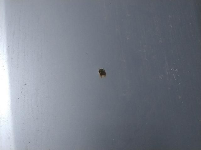 bontott SEAT CORDOBA I Motorháztető