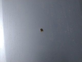 bontott SEAT CORDOBA I Motorháztető