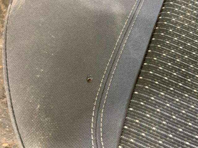 bontott SEAT EXEO Ülés és Ajtókárpit Szett