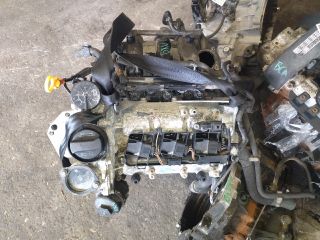 bontott SEAT IBIZA III Motor (Fűzött blokk hengerfejjel)