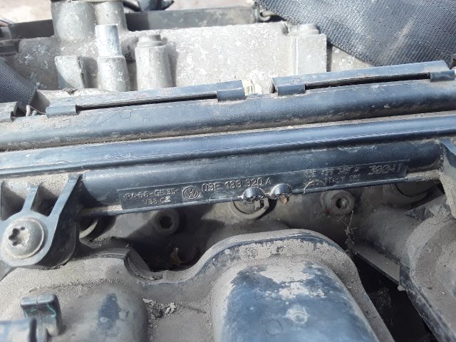 bontott SEAT IBIZA III Motor (Fűzött blokk hengerfejjel)