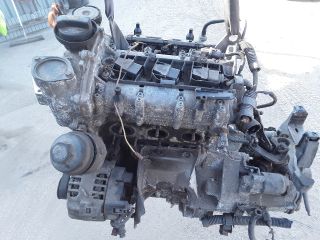 bontott SEAT IBIZA III Motor (Fűzött blokk hengerfejjel)