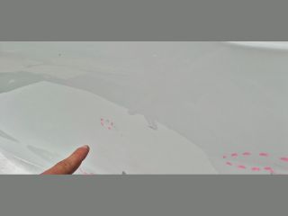 bontott SEAT IBIZA V Bal hátsó Ajtó (Üres lemez)