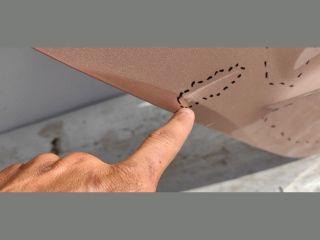 bontott SEAT IBIZA V Jobb hátsó Ajtó (Üres lemez)