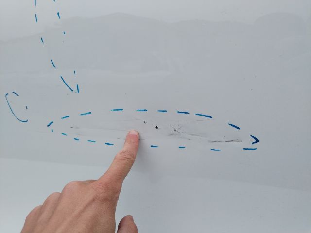 bontott SEAT LEON Bal első Ajtó (Üres lemez)