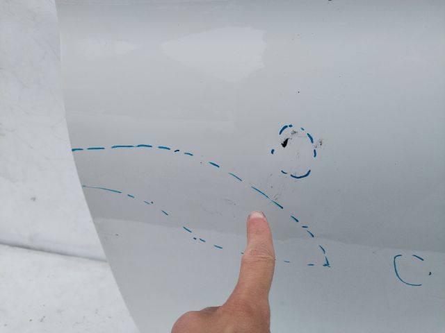 bontott SEAT LEON Bal első Ajtó (Üres lemez)