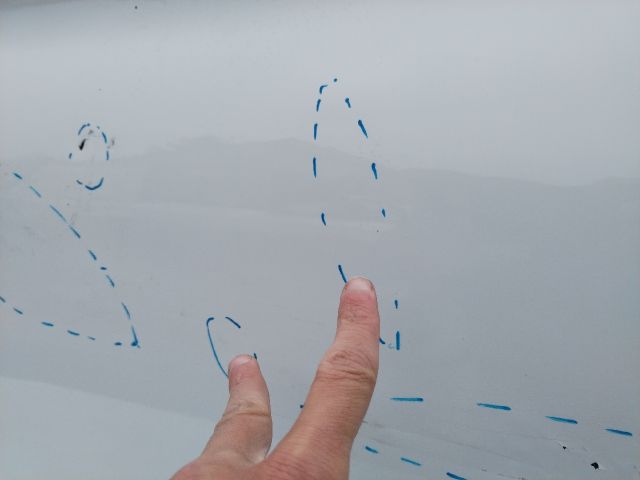 bontott SEAT LEON Bal első Ajtó (Üres lemez)