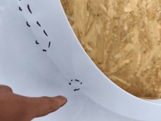 bontott SEAT LEON Jobb első Sárvédő