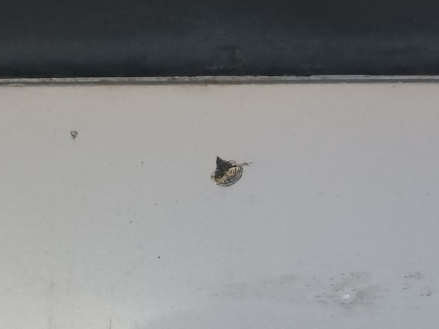 bontott SEAT TOLEDO Hátsó Lökhárító (Részeivel)