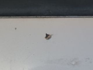 bontott SEAT TOLEDO Hátsó Lökhárító (Részeivel)