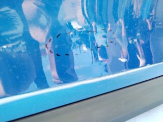 bontott SKODA ENYAQ Jobb hátsó Ajtó (Üres lemez)