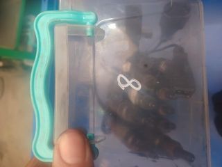 bontott SKODA FABIA I Porlasztó Sor / Híd