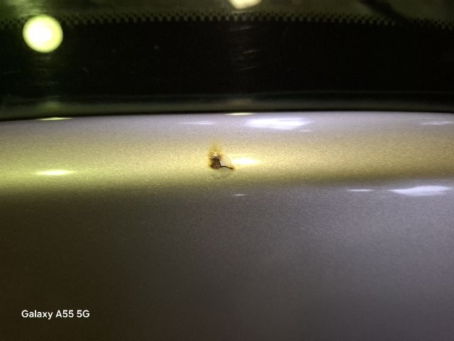 bontott SKODA FABIA I Csomagtérajtó (Részeivel)