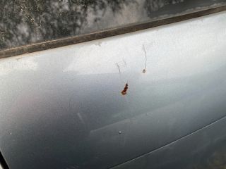 bontott SKODA FABIA I Csomagtérajtó (Üres lemez)