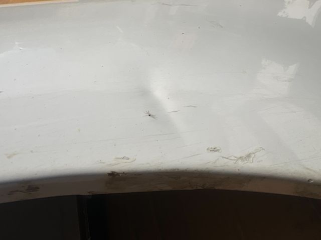 bontott SKODA FABIA I Jobb első Sárvédő