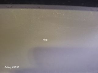 bontott SKODA FABIA I Jobb hátsó Ajtó (Részeivel)