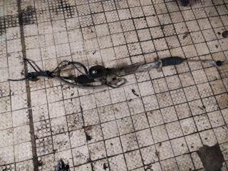 bontott SKODA FABIA I Kormánymű Szervós