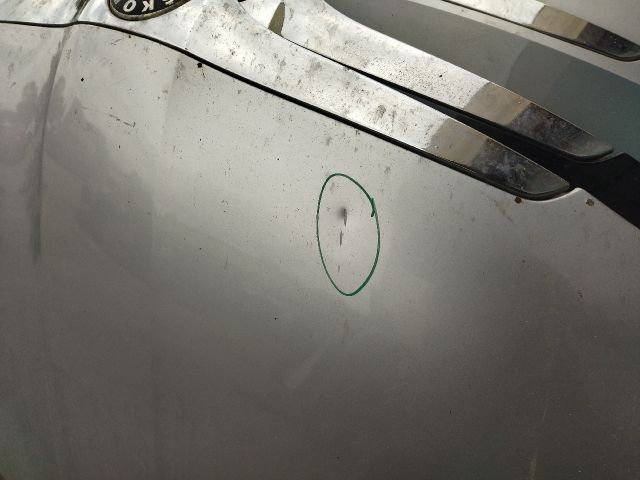 bontott SKODA FABIA II Motorháztető