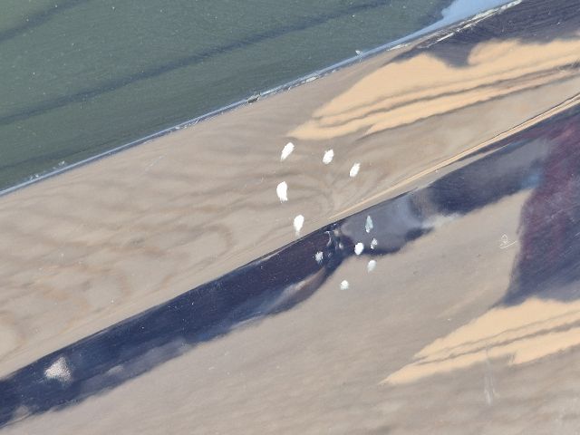 bontott SKODA FABIA III Jobb hátsó Ajtó (Üres lemez)