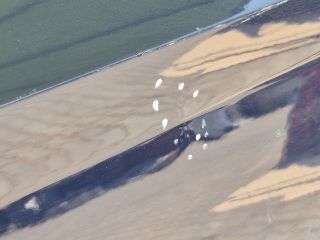 bontott SKODA FABIA III Jobb hátsó Ajtó (Üres lemez)