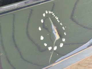 bontott SKODA FABIA III Jobb hátsó Ajtó (Üres lemez)