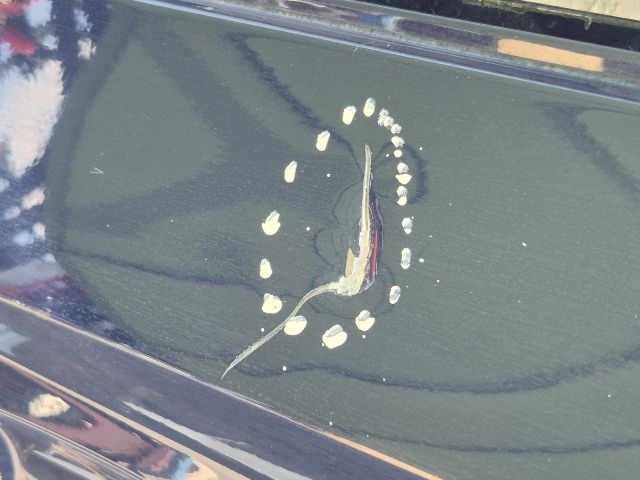 bontott SKODA FABIA III Jobb hátsó Ajtó (Üres lemez)