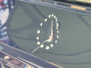 bontott SKODA FABIA III Jobb hátsó Ajtó (Üres lemez)