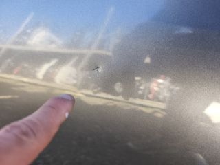 bontott SKODA FABIA IV Jobb hátsó Ajtó (Üres lemez)