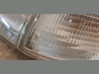 bontott SKODA FELICIA Bal Fényszóró