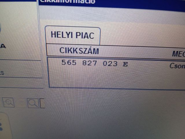 bontott SKODA KODIAQ Csomagtérajtó (Üres lemez)